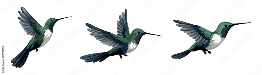Obraz premium Colorful Hummingbirds Set in Various Poses Flat Vector Illustration