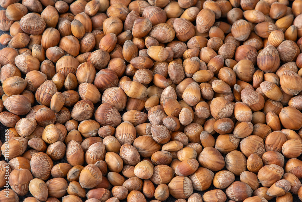 Nuts background. Hazelnut hetlthy food. Kernel raw seed. Hazel nut Nuts background. Hazelnut hetlthy food. Kernel raw seed. Hazel nut
