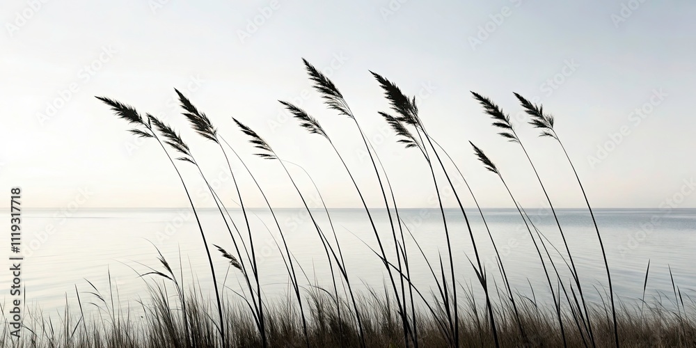 Obraz premium Coastal Grass Vector Silhouette Illustration on White Background for Nature and Landscape Themes, Ideal for Posters, Prints, and Digital Projects in Coastal and Outdoor Aesthetics
