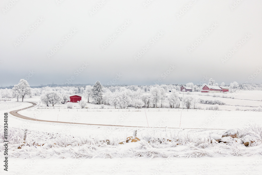 Obraz premium Winter landscape view with farmsteads and red barns on a cold winter day