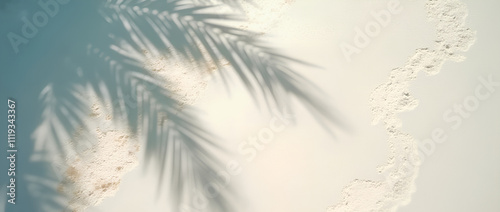 shadows of tropical trees on the sand 