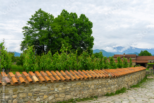 Stone fence covered with tiles, residential buildings of Alaverdi monastery. Green grass, bushes and trees photo