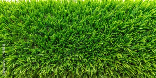 Top View of Lush Fake Green Grass Texture for Vibrant Backgrounds and Backdrops in Product Photography