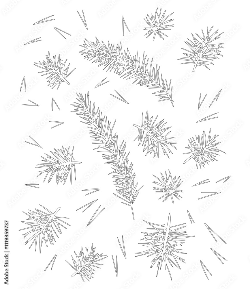 Pine branch with needles, pine needles for winter and Christmas decor. Graphic illustration hand drawn with black ink. Set of isolated objects