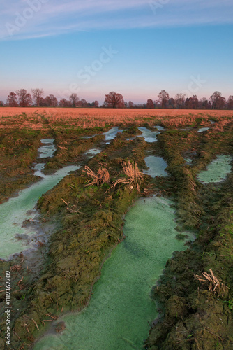 Obraz na płótnie Po Valley fields field landscape panorama w salonie