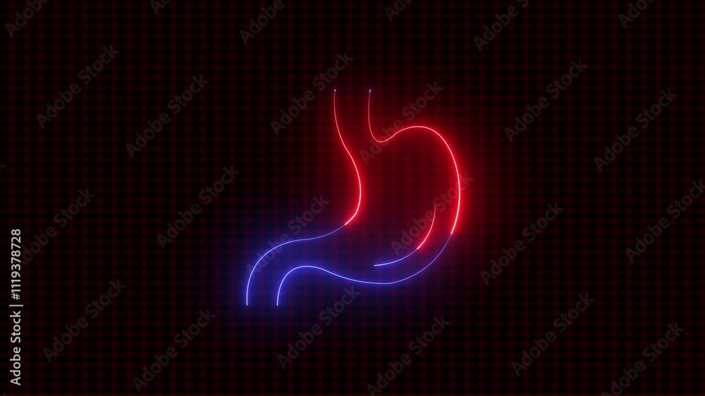 Glowing neon line Human kidneys icon animation isolated on black background. Neon human kidneys icon. Glowing neon line Human kidneys icon animation isolated on black background. Neon human kidneys icon.