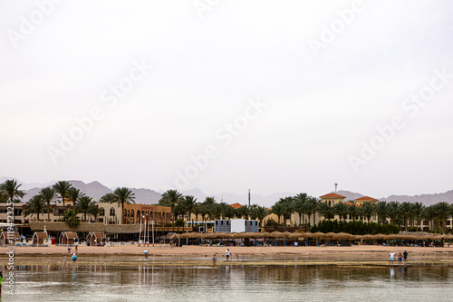 A beach with palm trees, buildings in the background, and water