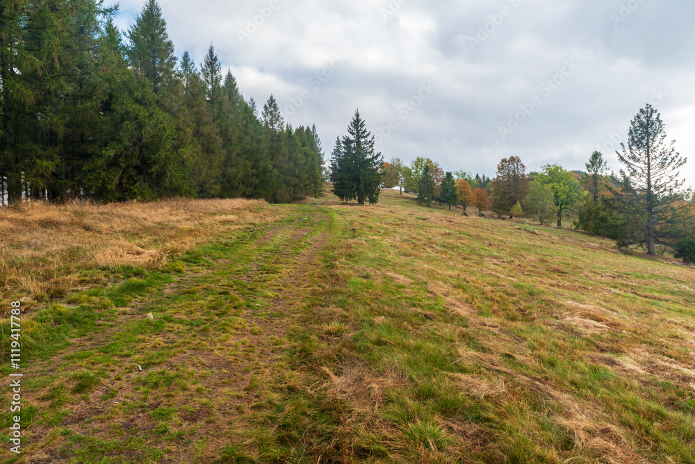 meadow with trail and trees in autumn Javorniky mountains in Slovakia meadow with trail and trees in autumn Javorniky mountains in Slovakia