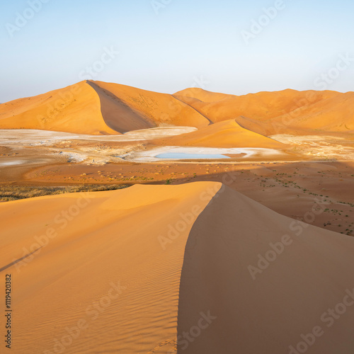 Fototapeta Naklejka Na Ścianę i Meble -  sand dunes in the desert