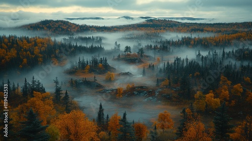 Misty autumn forest landscape.