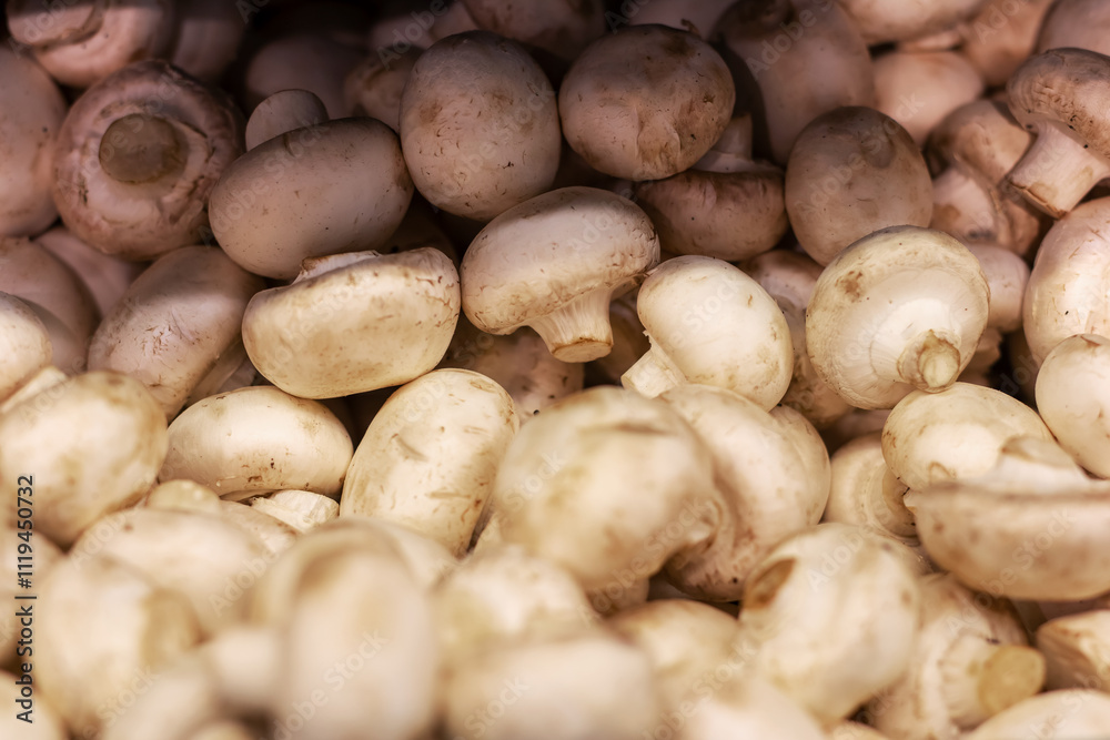 A large pile of brown mushrooms that has a white stem on them A large pile of brown mushrooms that has a white stem on them