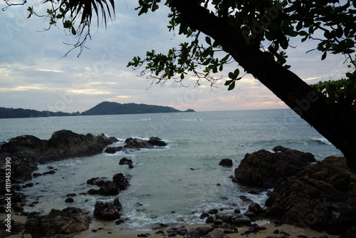 Beach with rocks palm and tree