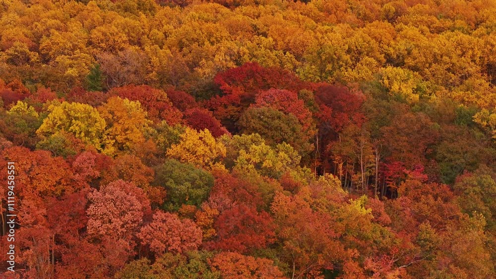 Hudson Valley Fall Autumn Orange Trees Rising Up Hudson Valley Fall Autumn Orange Trees Rising Up