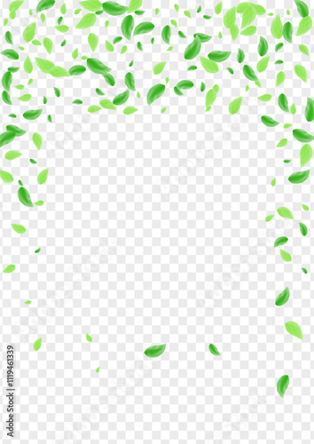 Greenish Foliage Background Transparent Vector. Plant Herbal Illustration. Floral Frame. Light Green Concept Design. Leaf Clean.