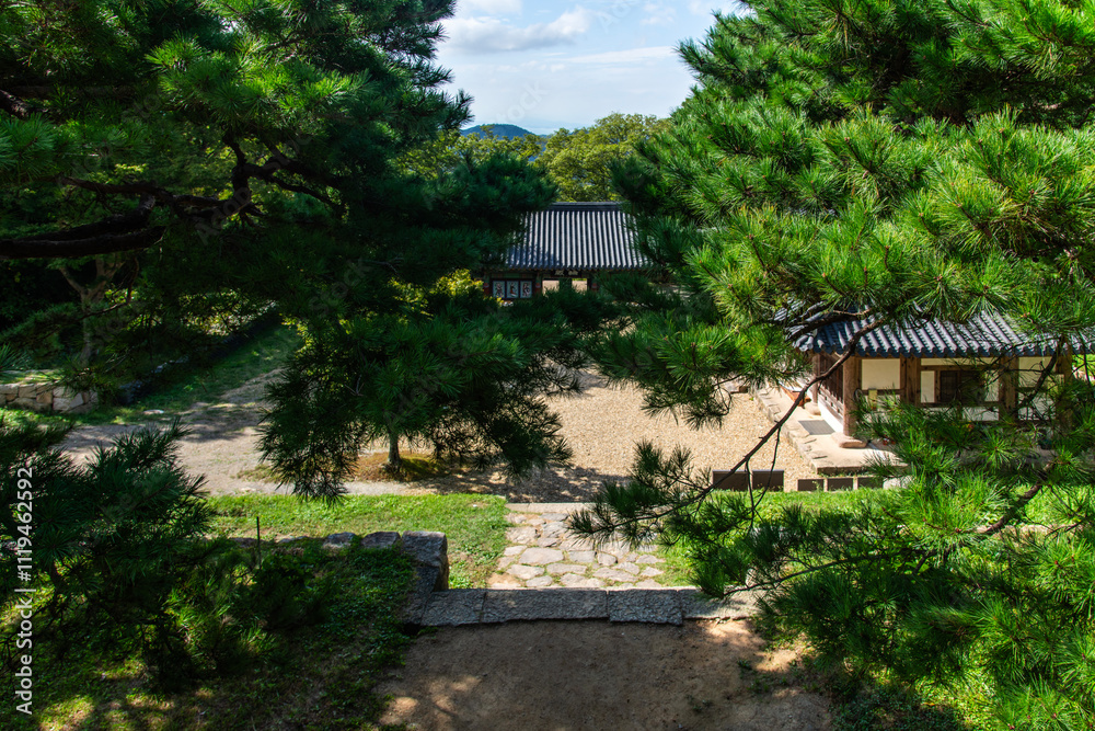 pine trees and Buddhist temple building