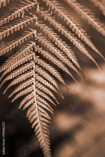 Green Leafs in garden background. New trending colour of the 2025 year 
