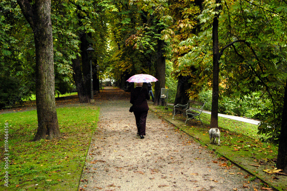 people in the autumn, outdoors people in the autumn, outdoors