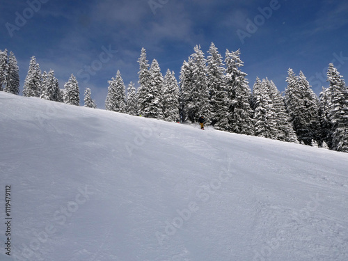 Zachhofalmabfahrt Dienten photo