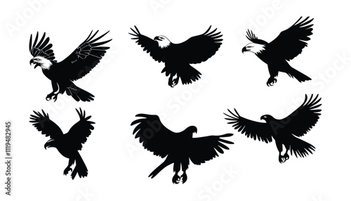 Soaring Eagle Silhouette Collection Featuring Graceful and Powerful Flight Poses