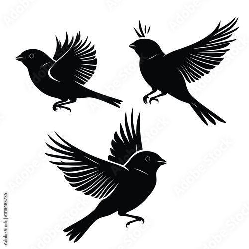 Silhouette Collection of Flying Birds with Outstretched Wings in Dynamic Poses