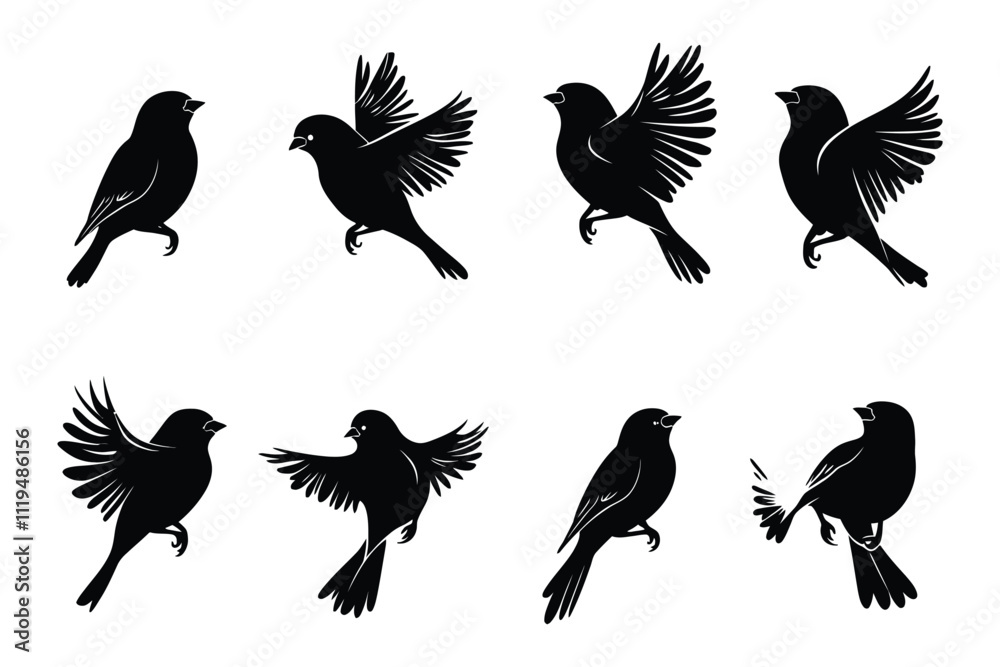Fototapeta premium Collection of Bird Silhouettes in Flight and Perching with Elegant Wing Details