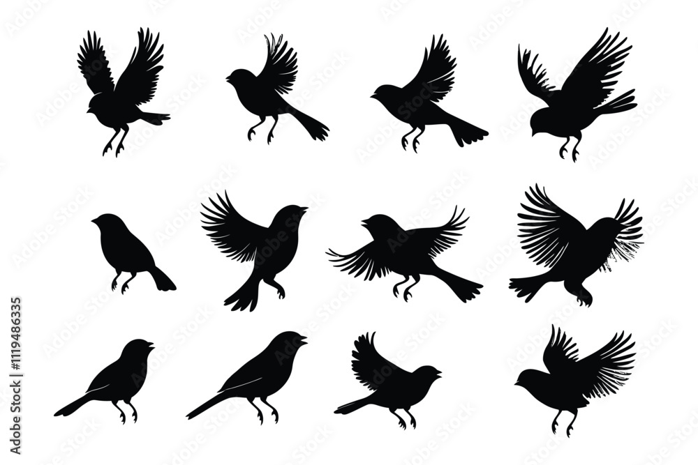 Obraz premium Silhouette Set of Birds in Motion and Rest with Detailed Wing Designs