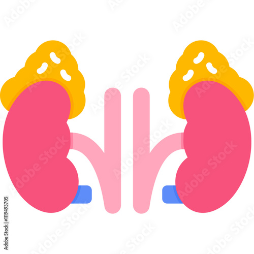 Adrenal Glands Icon