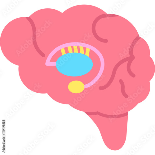 Basal Ganglia Icon