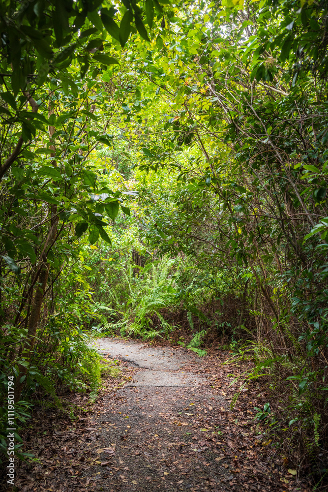 Everglades National Park, Florida, United States Everglades National Park, Florida, United States