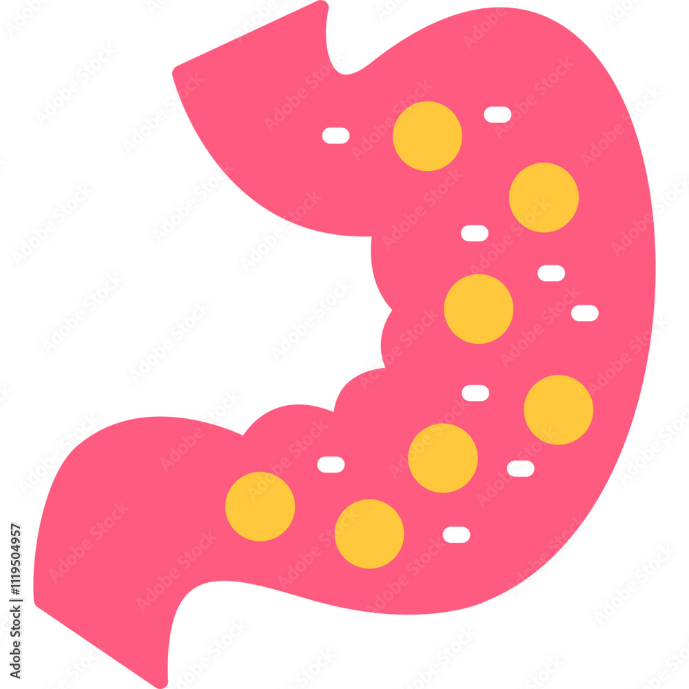 Stomach Function Icon Stomach Function Icon