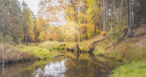 Tree is reflected in the water of a river