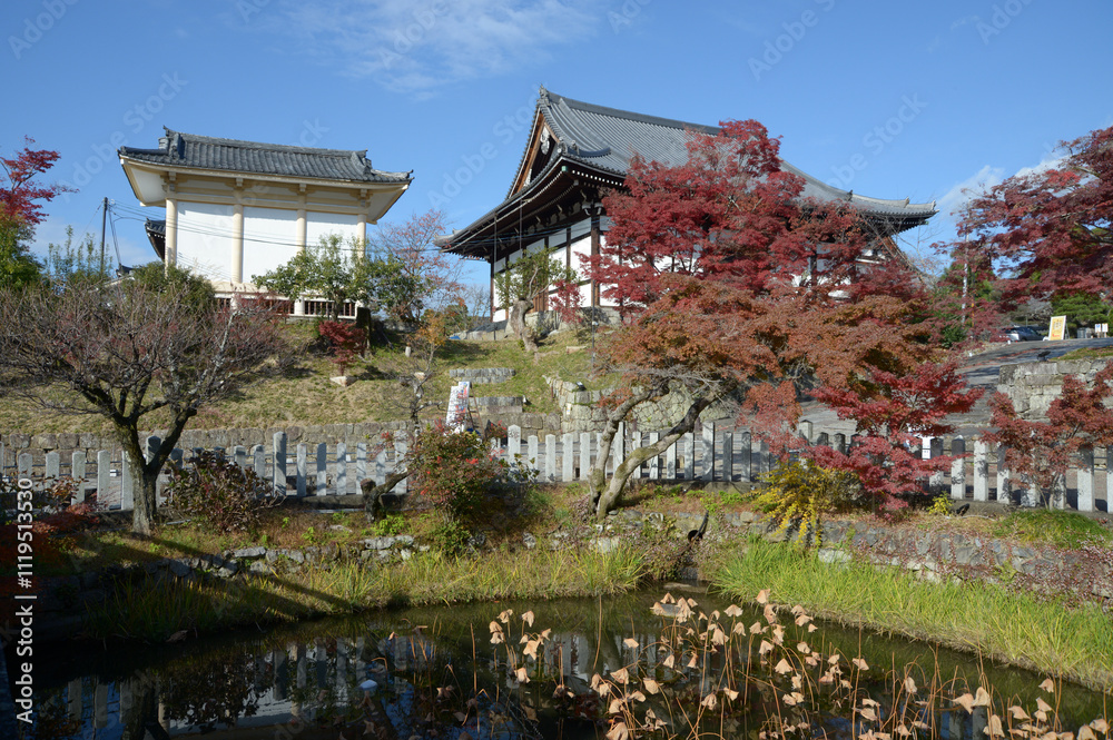 Fototapeta premium 金戒光明寺 池と阿弥陀堂 京都市左京区黒谷