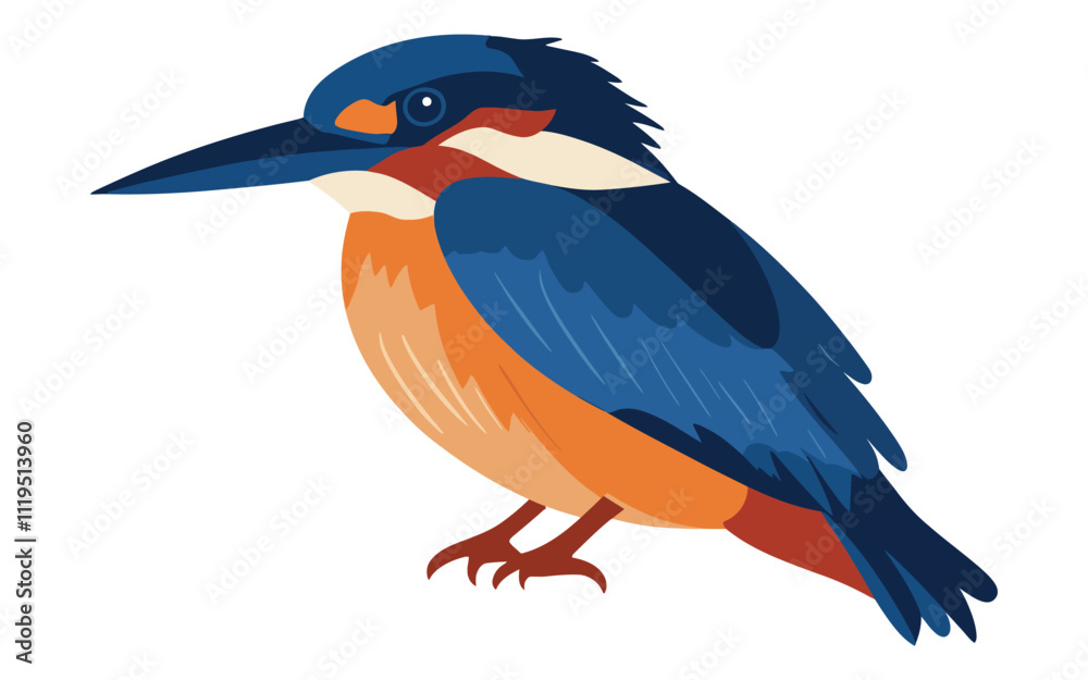 Fototapeta premium Bright Blue and Orange Kingfisher Vector Illustration on White Background