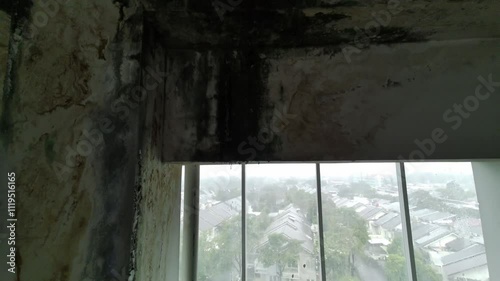 Fungus and mold infested corner of old room full of moisture and leaking roof. Mildew is on white interior wall by the window.