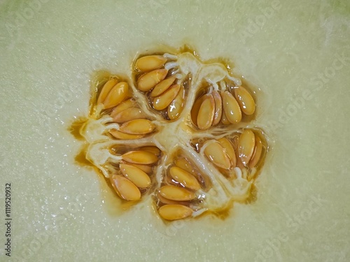 Honey melon seeds 