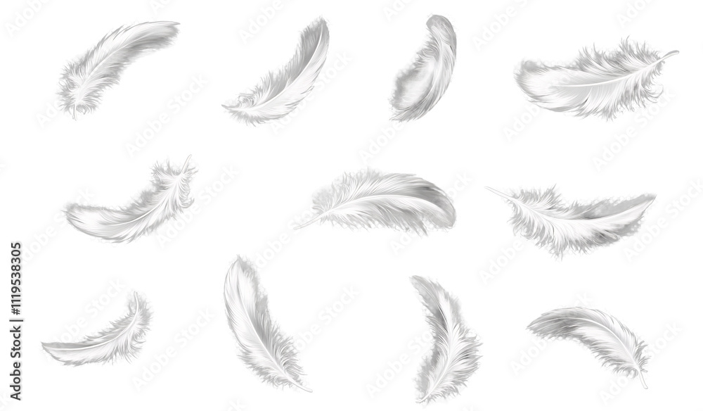 white feathers floating on white background