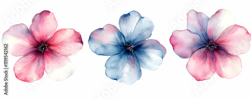 Watercolor Floral Illustration: Pink & Blue Blossoms