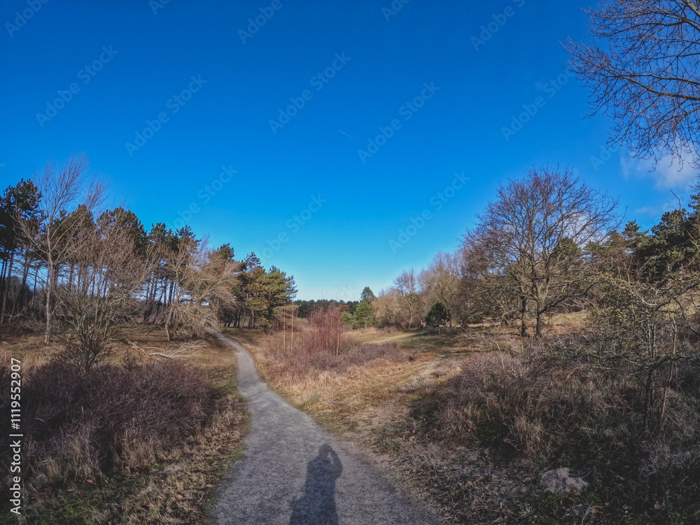 Coastal dunes, rich in birds, with marked hiking and cycling trails, plus a nature center in Netherlands. Typical Dutch landscape near the sea with beautiful paths for walking Coastal dunes, rich in birds, with marked hiking and cycling trails, plus a nature center in Netherlands. Typical Dutch landscape near the sea with beautiful paths for walking