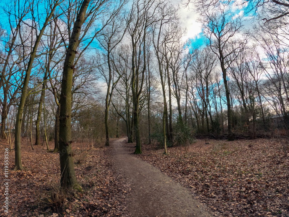 Fototapeta premium Coastal dunes, rich in birds, with marked hiking and cycling trails, plus a nature center in Netherlands. Typical Dutch landscape near the sea with beautiful paths for walking