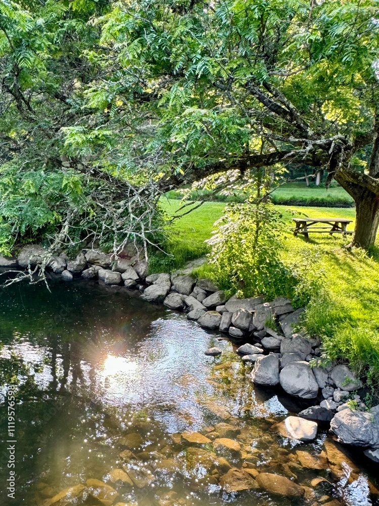 Picnic in the park by the creek Picnic in the park by the creek