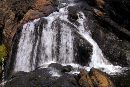 Horton Plains, Sri Lanka, Nature 