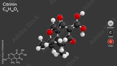 Citrinin. Antibiotic. Animated 3D model of a molecule. Molecular formula: C13H14O5. Chemical model: Ball and stick. Gray background. 3D rendering. photo