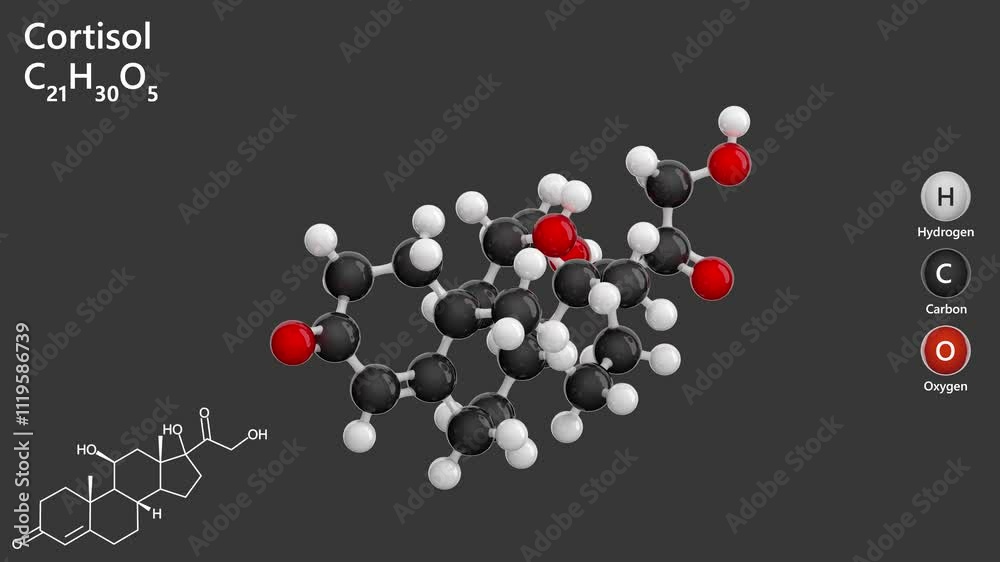 Cortisol. Stress hormone. Animated 3D model of a molecule. Molecular ...