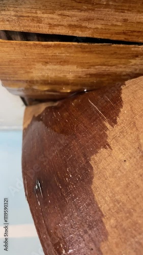 The house ceiling made of plywood peeled off due to rainwater. The house ceiling leaked. Water came out of the peeled off ceiling. House The plywood ceiling peeled off