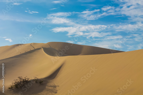 Oasis Huacachina in the desert of Peru. South America landscape sights. Sand dunes in the desert. Palm trees among white sand in Ica city, Peru