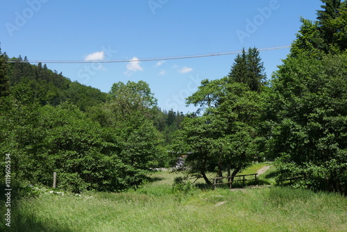 Skywalk in Willingen Upland im Rothaargebirge photo