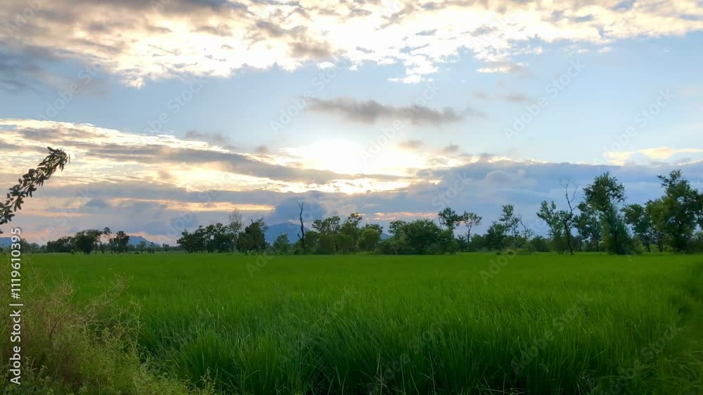 HD Timelapse Video of Swaying Fields and Moving Clouds in a Peaceful Countryside HD Timelapse Video of Swaying Fields and Moving Clouds in a Peaceful Countryside
