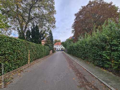 eine Strasse mit Hecken in Berlin Johannisthal photo