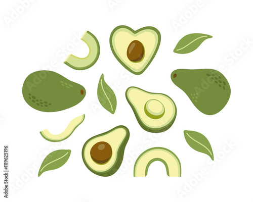 Green avocado flatlay print with halves fruit, leaves and slice. Hand drawn cartoon fruit illustration.