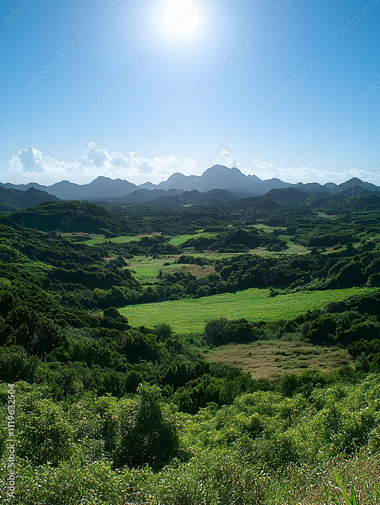Obraz premium Sunny day view of lush green valley and mountains.